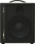 Combo Bass AER Amp Two