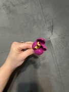 Ręcznie robione kwiaty – tulipany do palmy wielkanocnej – 10 szt.