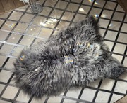 Skóra naturalna, skóra owcza z długim włosem