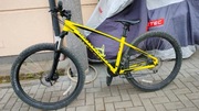 rower specialized