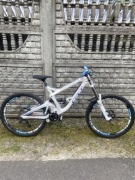 Gt furry elite roz.L 2016