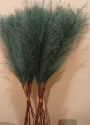 trawa pampasowa 30 sztuk 