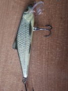 Salmo Poland Skinner 15 