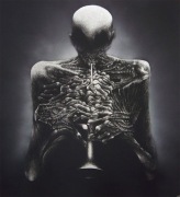 Oryginalny obraz ręcznie grawerowany...Staloryt