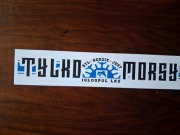 Vlepki Igloopol Dębica #9