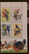 Fi: 3967 - 3970**. Egzotyczne ptaki hodowlane.