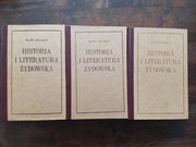 Historia i literatura żydowska reprint tomy I-III 