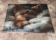 Poszewka na poduszkę 