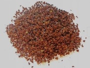 Szczaw kędzierzawy kobylak 100g