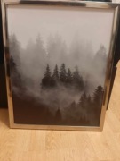 Obraz "Zmierzch" 43x53cm