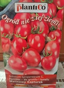 Pomidor 'Malinowy Kapturek' nasiona