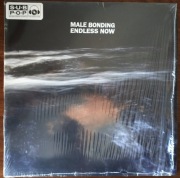 Male Bonding - Endless Now (LP)