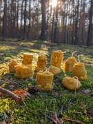 Świece z wosku pszczelego 10 szt świeca pszczela anioł na prezent miód