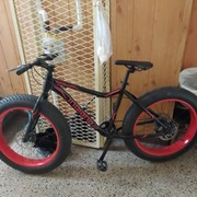 Rower Indiana fat bike