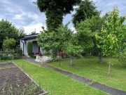 Sprzedam działkę na terenie ROD "Szarotka" przy ul. Spokojnej w Legnicy