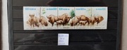 2608-2612** 2608-12**  1981 r. - Restytucja żubra - pasek, ssaki