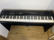 Pianino cyfrowe Thomann DP-25 88 klawiszy, drewniany stelaż, super stan