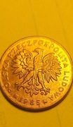 2zł 1985 r.mosiadz ząbki stan bardzo dobry super