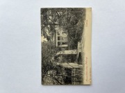 Rzadka wczesna pocztówka PUŁAWY Oranżeria Wyd. Adela Żychowicz ok. 1900