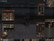 Metin2 Polska Ninja Archer 113lvl z kołem mitycznym +szata aury+boczuś 100d