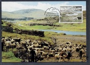 WYSPY OWCZE. Karta Maksimum. OWCE (C)