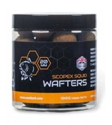NASH Scopex Squid wafters 20mm waftersy
