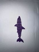 Flexi Rekin [Fioletowy]