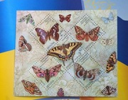 Ukraina   Blok znaczków "Motyle 2005"