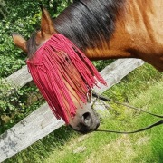 Frędzle przeciw owadom 