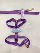 Szelki i smycz skrzydełka dla psa