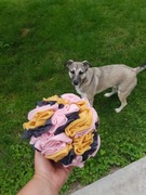 BLACK FRIDAY! Kula węchowa dla psa 20 cm noseworking zabawka dla psa