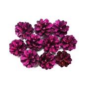 Polskie naturalne SZYSZKI SOSNOWE Florystyka Dekor Stroik 12 szt. różowe.