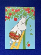 Muminki bajka ilustracja karnet pocztówka 