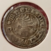 Aleksander Jagiellończyk półgrosz litewski Wilno 1495 - 1501