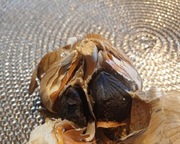 Czosnek  czarny 1kg MANUFAKTURA fermentacja  bieżąca  z własnej uprawy. 