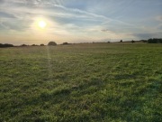 Siano w kostkach sloma owies