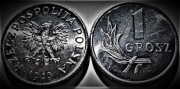 1 gr 1949r. - mennicza PRL.
