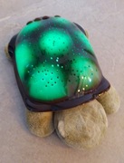 Cloud b Żółw żółwik