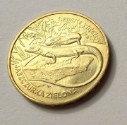 Moneta 2 zł Jaszczurka zielona  Lacerta viridis 2009 (2)