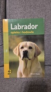 Labrador Opieka i Hodowla Gerard  Sasias