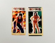 Naklejki z gum Spice Girls lata 90te