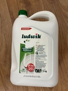Płyn do mycia naczyń Ludwik Mięta 5L wydajny pH neutralne dla skóry