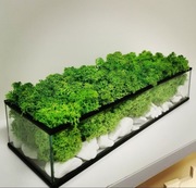 Donica ze stabilizowanym mchem