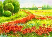 Prowansja, pole maków. Original Akwarela A4, ręcznie malowana