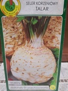 Seler korzeniowy 'Talar'