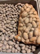 Ziemniak Queen Anna i Irga - workowany 15kg, ładny, okolice Łodzi