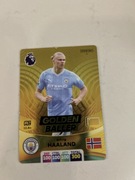 Karta piłkarska Erling halland