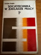 Socjotechnika w zakładzie pracy – Czesław Czapów (1975)