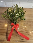 Jemioła pospolita żywa, białe jagody kokardka, ozdoba świąteczna 