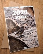KALENDARZ 2026 PTAKI- autorskie zdjęcia A3 pion.